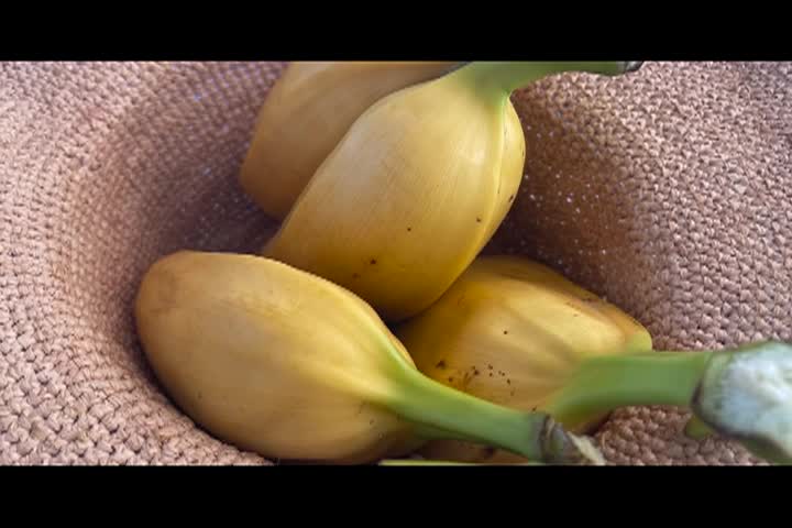 Cooking & Kids with Vlada | Figi