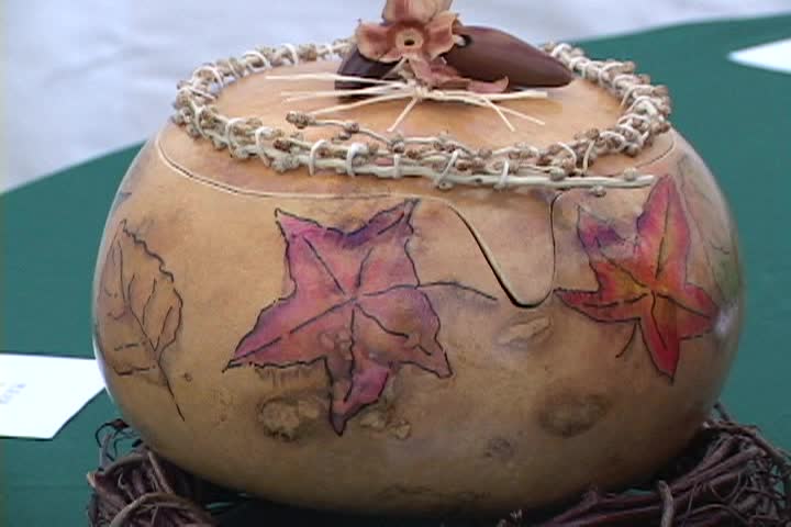 Out and About | Harvest Festival